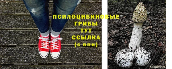 героин Ладушкин