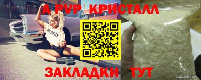 гашик Донской