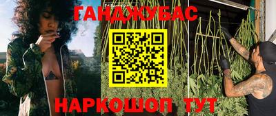 гашик Донской