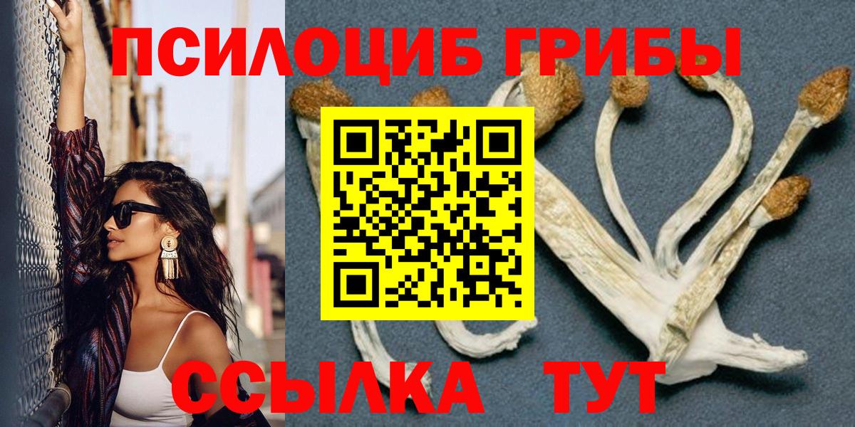 Псилоцибиновые грибы MAGIC MUSHROOMS Нижний Новгород