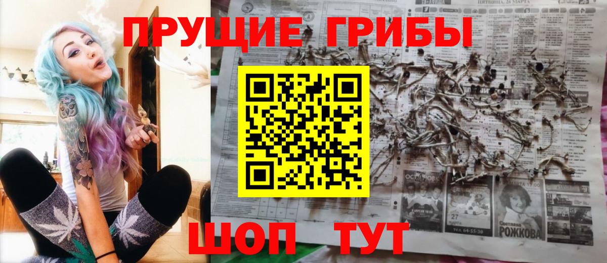 Галлюциногенные грибы Magic Shrooms  Галлюциногенные грибы Psilocybe  Нижний Новгород 