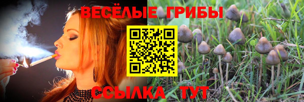 Галлюциногенные грибы Psilocybine cubensis  Вход с VPN  где купить наркотик  Нижний Новгород 